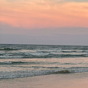 Meet your Posher, Skylee